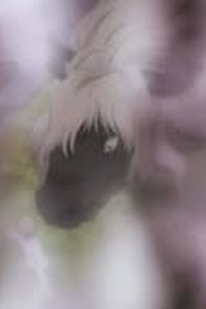 Natsume Yujin-cho Season 1 Episode 3 - Poster