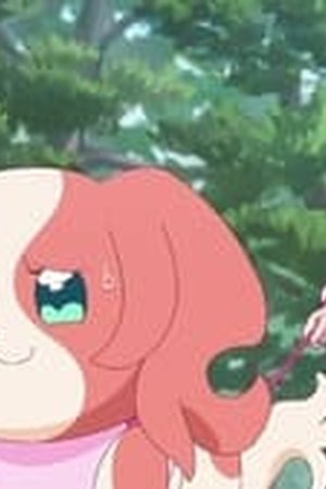 Wonderful Precure! Season 1 Episode 40 - Poster